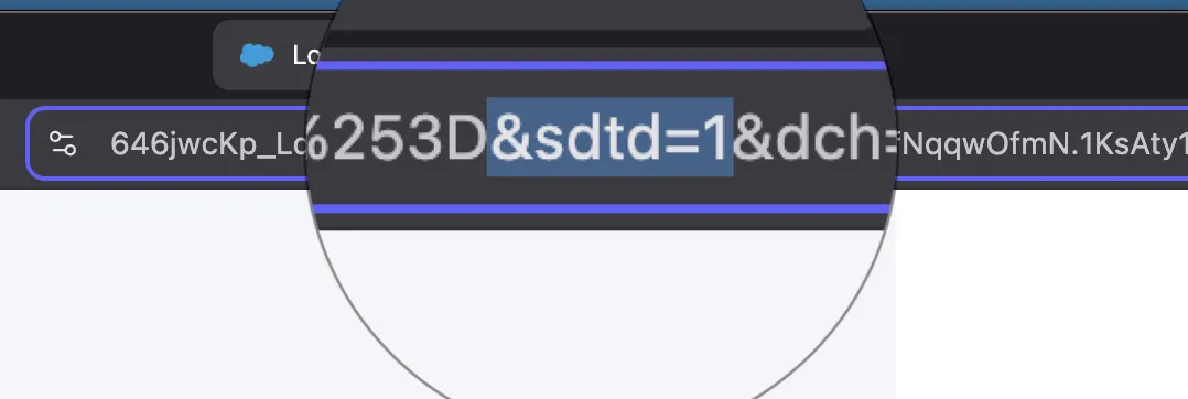 URL bar zoomed in showing the sdtd=1 parameter being added